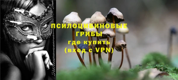 ГАЛЛЮЦИНОГЕННЫЕ ГРИБЫ Елизово