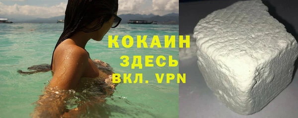 прущие грибы Ельня
