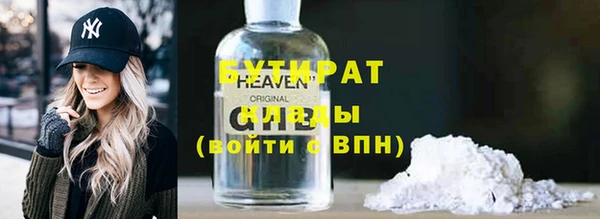 прущие грибы Ельня