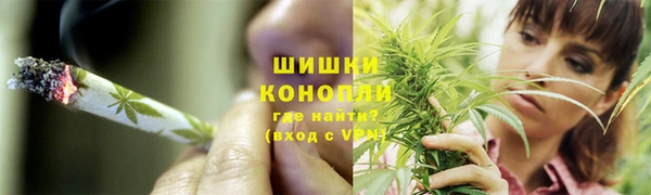 ГАЛЛЮЦИНОГЕННЫЕ ГРИБЫ Елизово