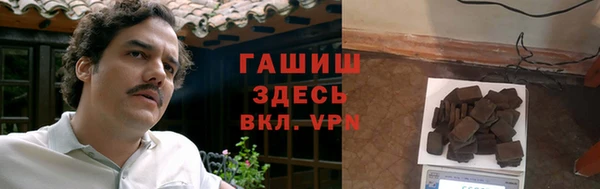 прущие грибы Ельня