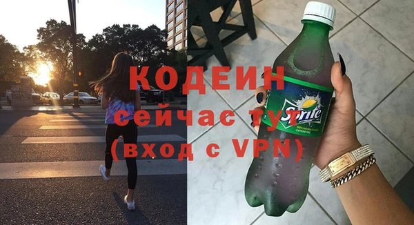 прущие грибы Ельня