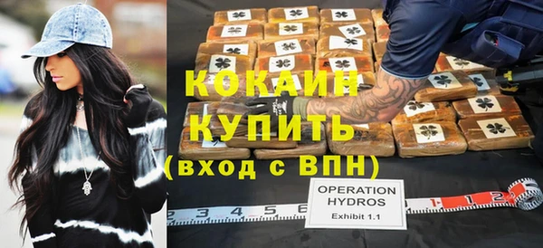 прущие грибы Ельня