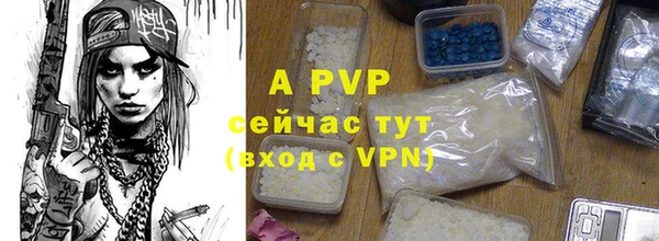 прущие грибы Ельня