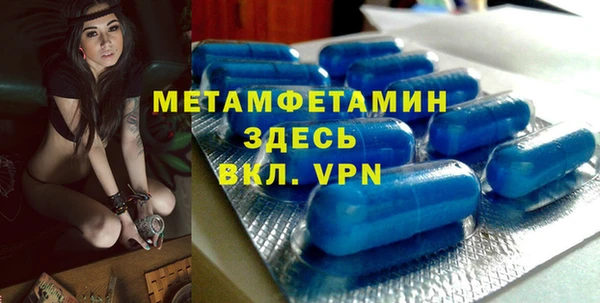 прущие грибы Ельня