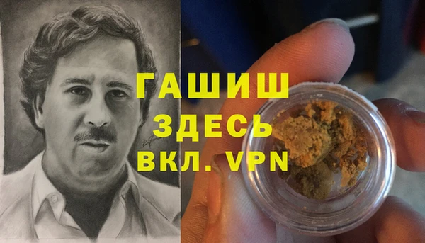 прущие грибы Ельня