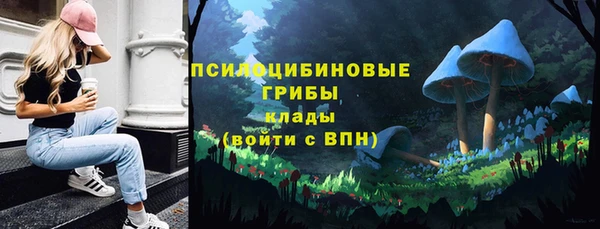 ГАЛЛЮЦИНОГЕННЫЕ ГРИБЫ Елизово