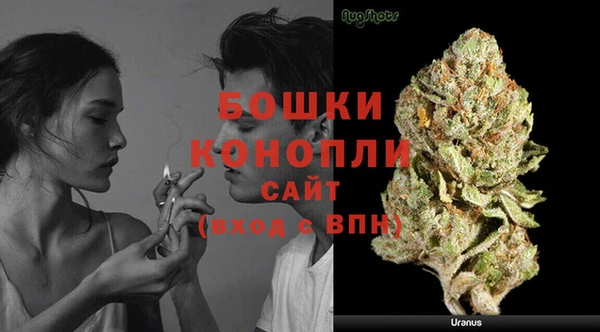 ГАЛЛЮЦИНОГЕННЫЕ ГРИБЫ Елизово