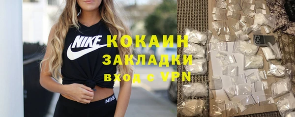 прущие грибы Ельня