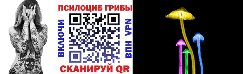 Купить Цивильск Псилоцибиновые грибы GOLDEN TEACHER